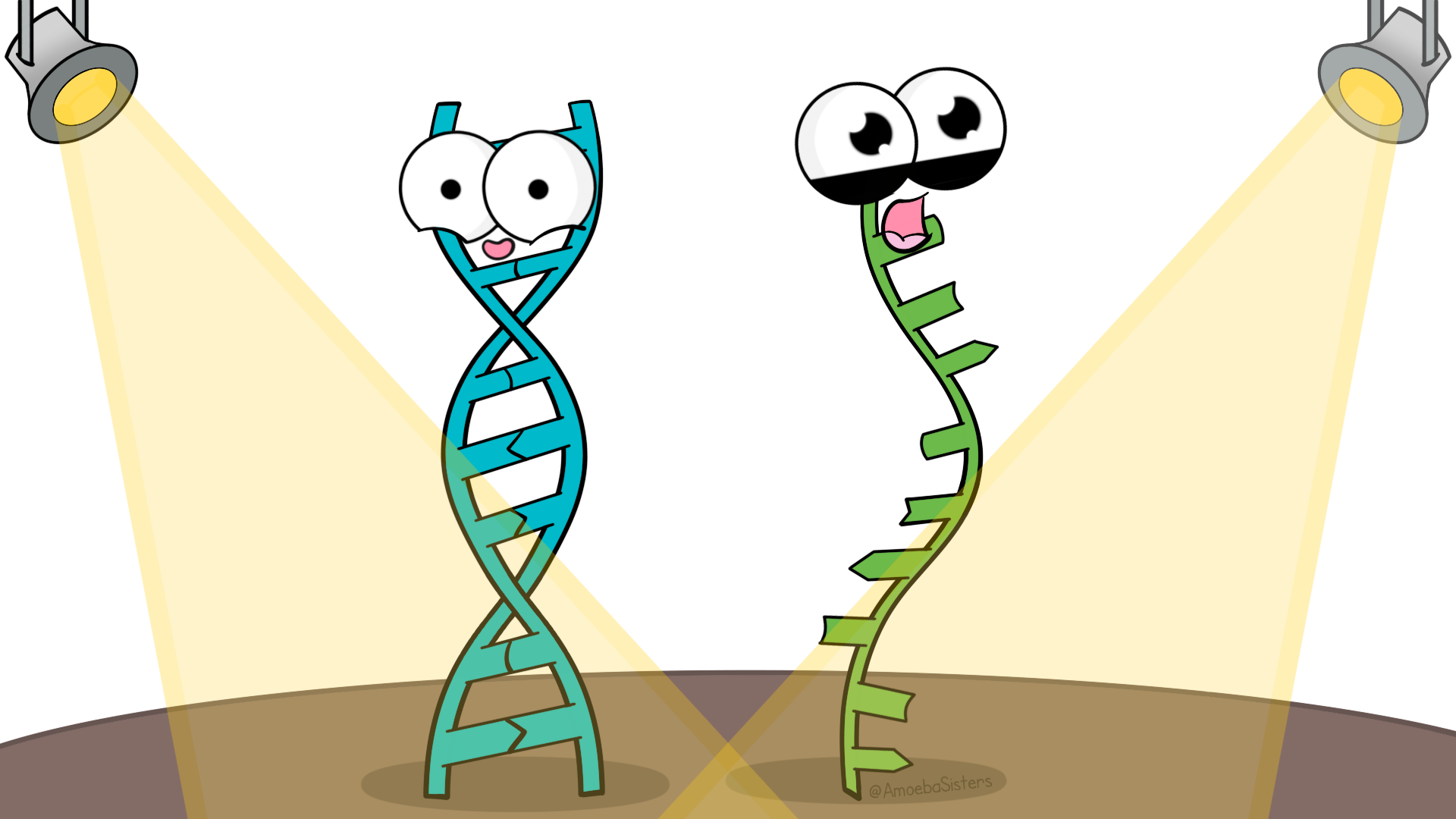 Cartoon of DNA and RNA as two characters standing under spotlights on a stage