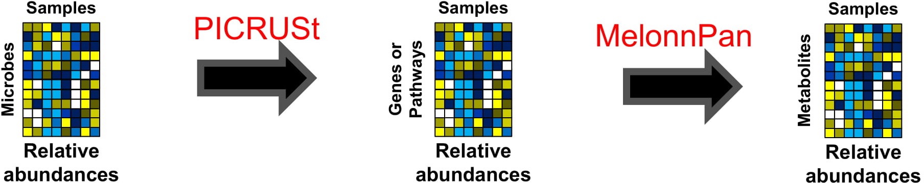Diagram: microbe abundances lead to gene and pathway abundances through PICRUSt, and to metabolite abundances through MelonnPan